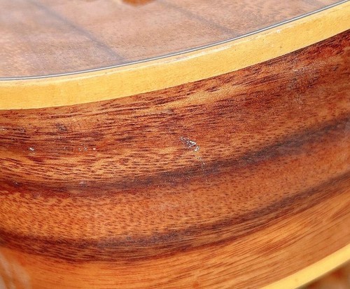 Alulu Solid Acacia Koa Concert cutaway Ukulele, bird inlay HU1632 - Picture 14 of 17
