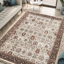 3x5 Rug - Machine Washable Entry Rug with Non-Slip Backing, Ideal for Enteryw...