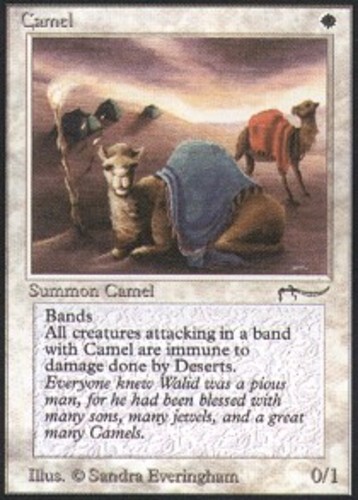 Camel ~ Moderately Played Arabian Nights MTG Magic UltimateMTG White Card