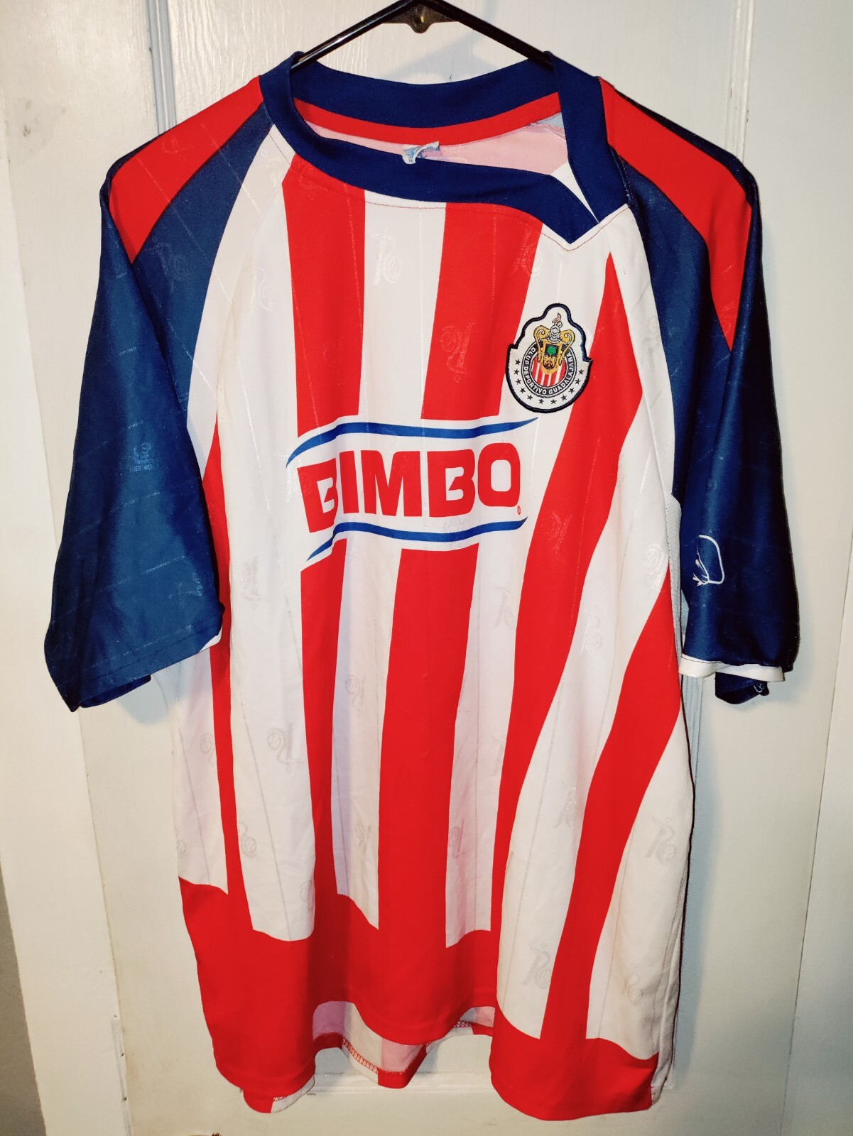 Guadalajara Chivas Mexico Remini Jersey Polyester Soccer Size Large Adult 