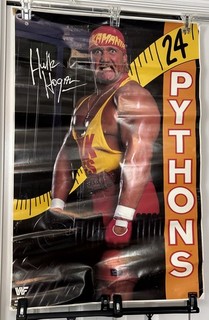Vintage 1989 Hulk Hogan 24" Pythons Poster WWF Titan Sports Wrestling Rare