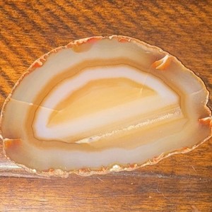 Polished Banded Agate Slice Slab Specimen Tan White Orange White Banded