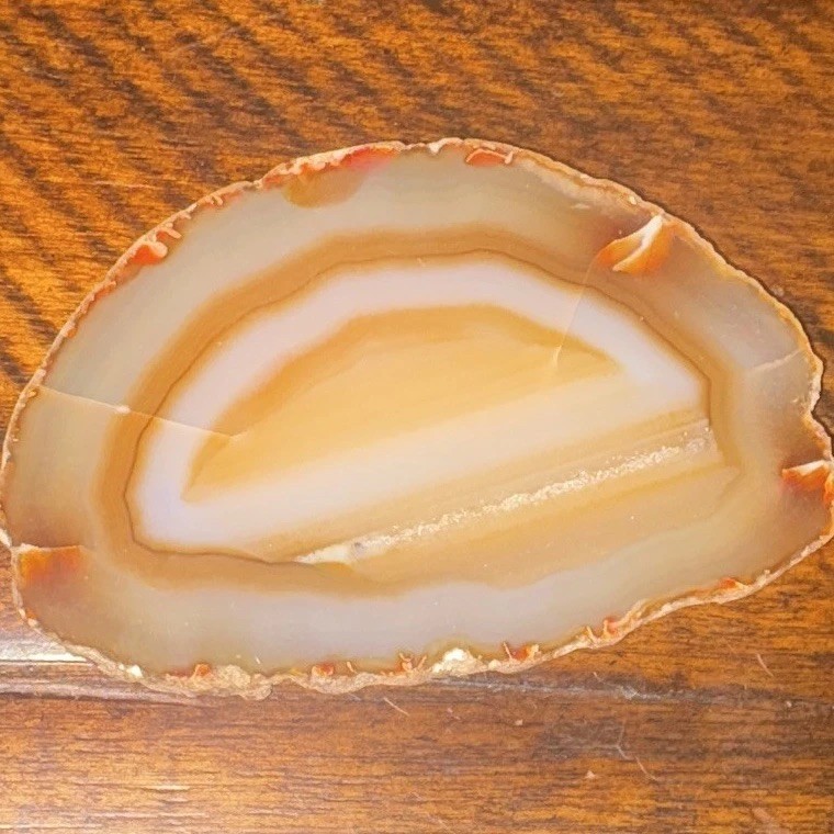 Polished Banded Agate Slice Slab Specimen Tan White Orange White Banded