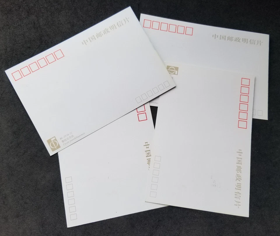 [SJ] China Cycas Tree 1996 Iron Plant (maxicard) *concordance Postmark - Image 2 of 4