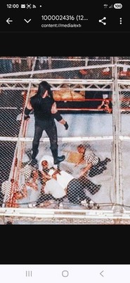 WRESTLING SUPERSTARS Hell in a cell best 3 DVD Foley Taker HBK Hhh Austin Kane l
