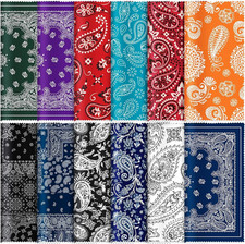 Microfiber Cleaning Cloths 24Pack 6x6 Lens Screen Wipes Paisley Floral Design