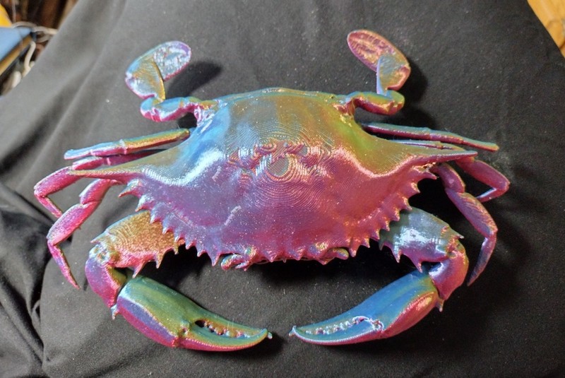 New Full size Multicolor 3D Printed Female Crab