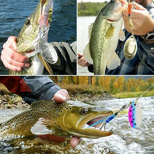 best rainbow trout ice fishing lures 16pcs Spinner Baits Bass Rooster Feather Tail Lures Lures Hard Metal Inline SpinnerBaits for Bass Trout Pike Perch Walleye Crappie Fishing with Portable Bag : Sports & Kenders T 5 Must-Have Trout Lures for