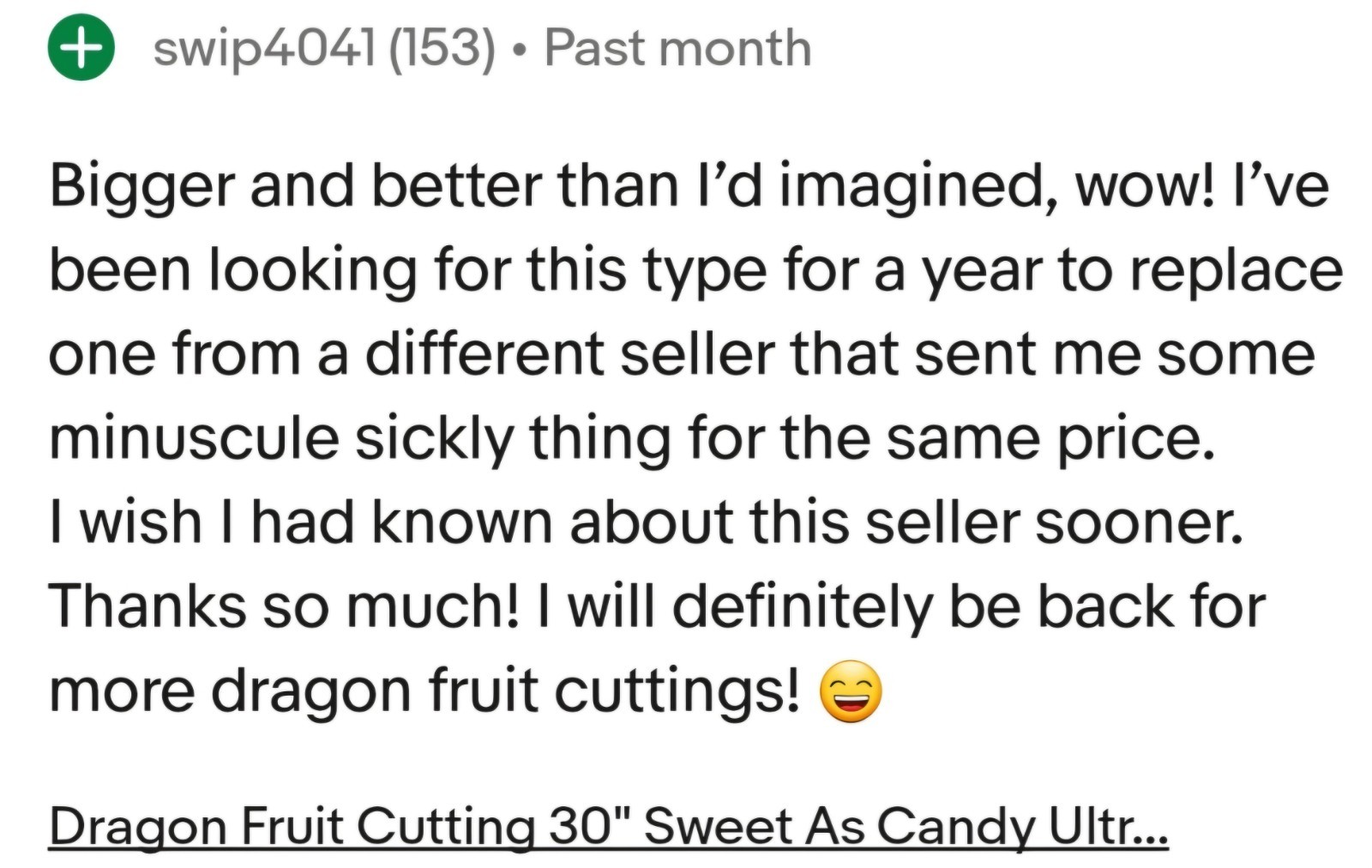 Dragon Fruit Cutting AX 🍬 Rare Exotic 20" - 28" Mature Healthy 💪MASSIVE THICK