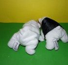 Foto 3 di 3