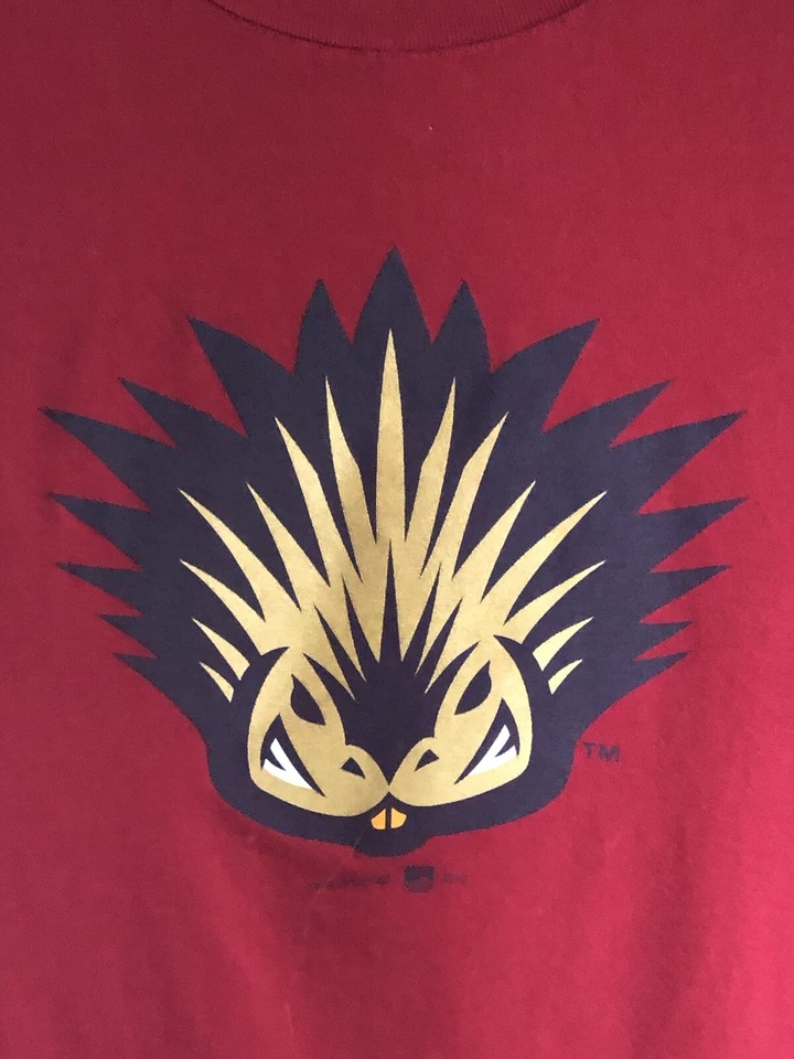 Футболка женская детская Scranton Wilkes-Barre RailRiders Yankees MiLB XL следующий уровень - Изображение 4 из 4