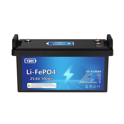 100Ah 24V LiFePO4 Deep Cycle Lithium Battery 2560Wh 100A BMS for Solar RV Boat