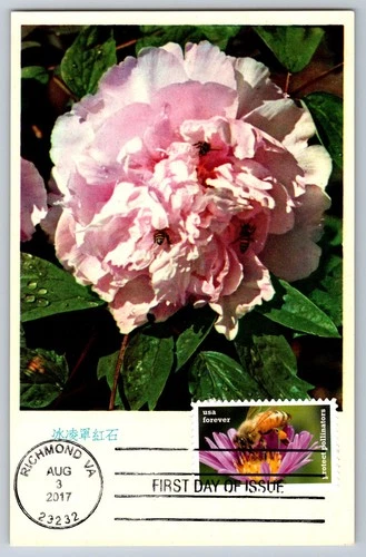 #5231 Protect Pollinators Honeybee FDC Maxi Card on Chinese Postcard