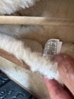 "UGG" New in Box MEN'S LEATHER "ASCOT" SLIPPERS AUSTRALIAN SHEEPSKIN *Size 12 — photo 8