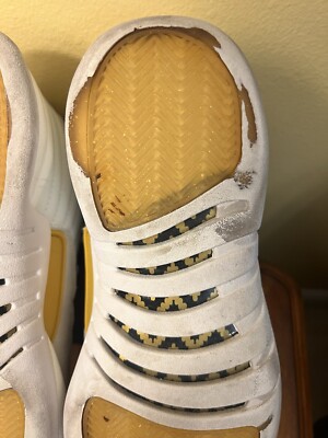 jordan 12 ovo 2020