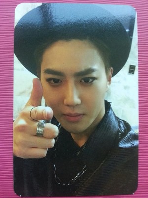 Exo Suho Official Photocard 2nd Album Exodus White Ver Photo Card