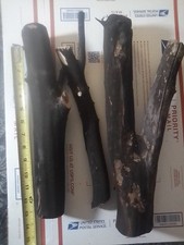 3 Natural Manzanita Branches 12"