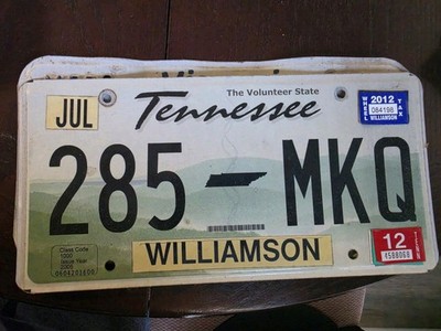 One Random TENNESSEE LICENSE PLATE Rolling Hills Green Flat License Plate 