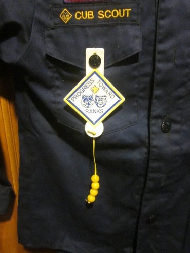 Camicia uniforme vintage CUB SCOUT 12 collo DETROIT AREA COUNCIL 1561 DEN 1 - Foto 6 di 10