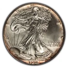 1994 1 oz Silver American Eagle - BU Key Date - Violet Rim Toning - SKU-E2294