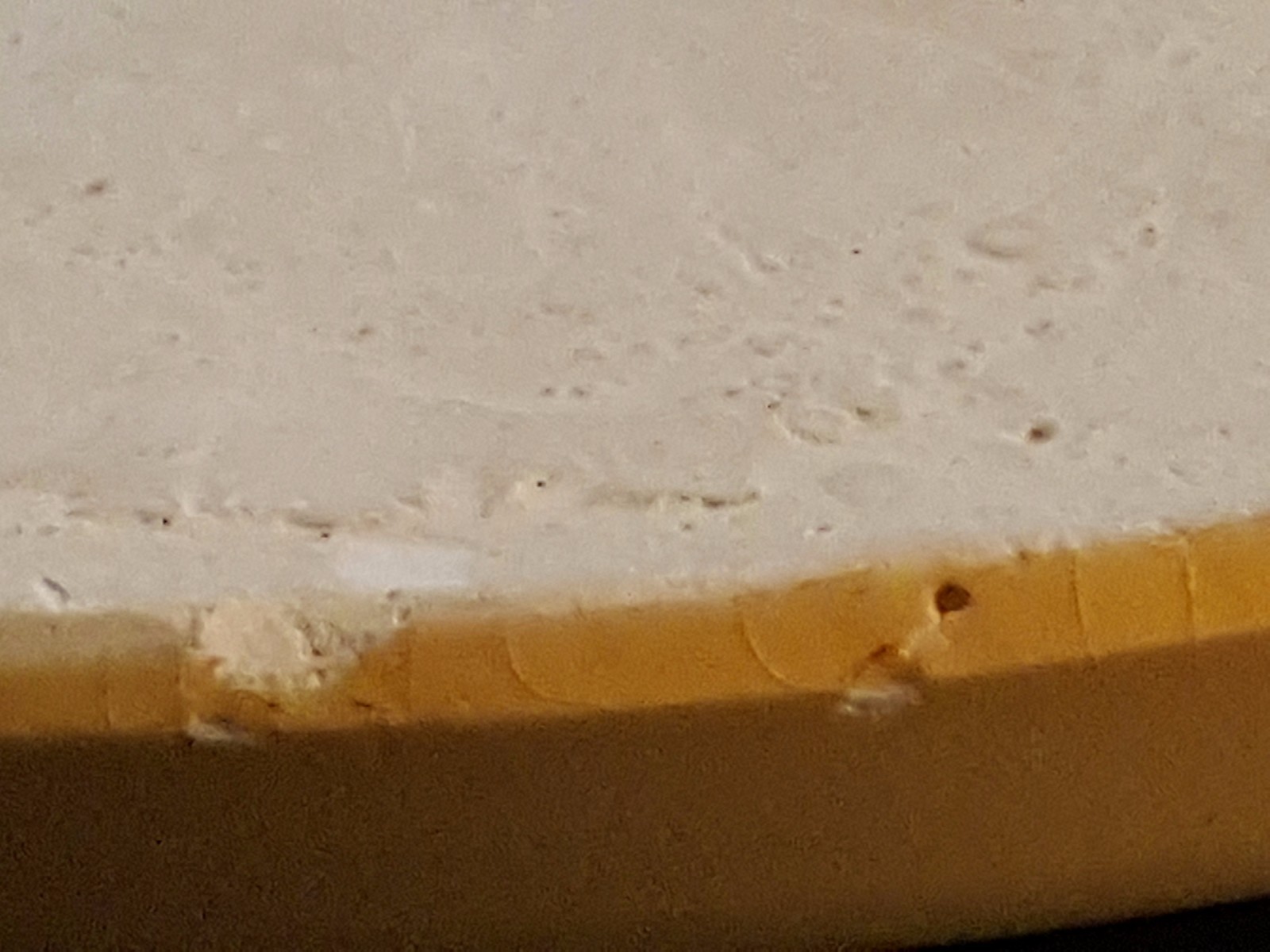 Picture 9 of 10