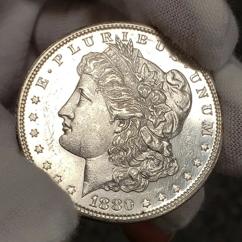 1880-S $1 Morgan Silver Dollar - Proof-Like - Frosty BU - VIDEO - SKU-D4857