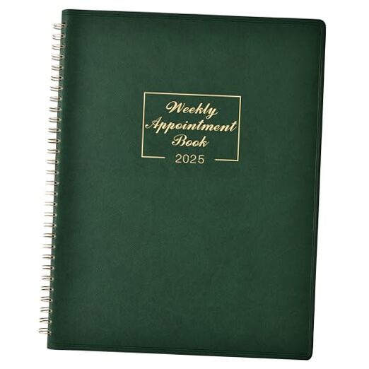 2025 Weekly Appointment Book - Daily Hourly Planner 2025, January 2025 -