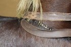 Bild 9 von 12