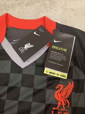 Nike Liverpool FC 20/2021 Stadium Third Jersey CZ3197-060