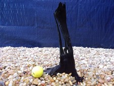 Small Driftwood 12"x07"x04" Aquarium Terrarium Reptile Natural Art