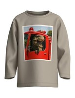 Jungen T-Shirt Name It Nmmvoto Ls Nreg, GrößE 110, Island Fossil, Baumwolle