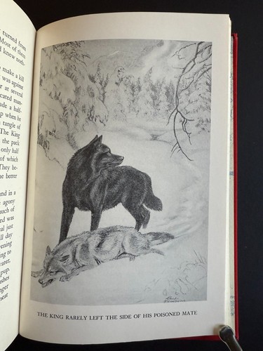 Der Wolfskönig, von Joseph W. Lippincott - 1949 - 1., 3., seltenes Hardcover Buch - Bild 14 von 15