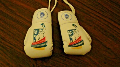2013 Kiev AIBA Junior World Boxing Championships Souvenir Boxing Gloves