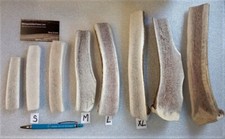 Split Fresh ELK Antler Dog Chews -Marrow DogTreats Chews -Pick your size