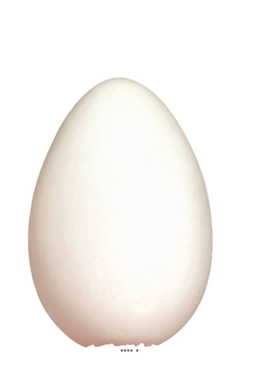 Oeuf blanc artificiel incassable lot de 12 pour loisirs et décors