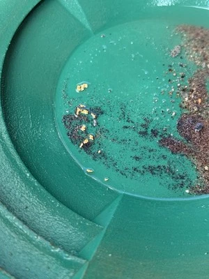 Welsh Valley Paydirt. Sample Bag. 4 Ounce    NEW SPOT !!!!!! Guaranteed Gold. - Image 1 of 4