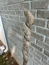 Beautiful Hiking Stick For Hiking Straight From Appalachia Trail In Tennessee