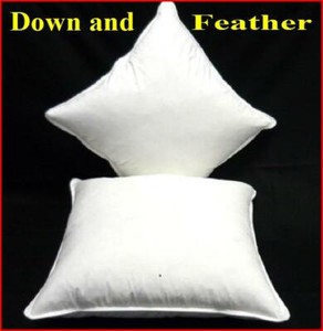 down cushion inserts australia