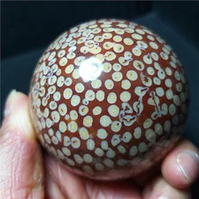Rare 443.6G Natural Polished Coral Jade Agate Crystal Sphere Ball Healing  CB316