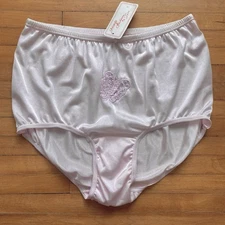 PINK BUTTERFLY Panties Nylon Brief Panty Style 333X Teri Lingerie Sz 10 NWT