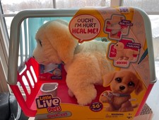 Little Live Pets Ouchies - Cooper The Retriever Puppy New