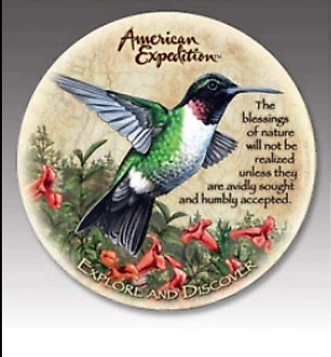 Набор каменных подставок Humminhbird, коричневый медведь американской экспедиции - Изображение 2 из 2