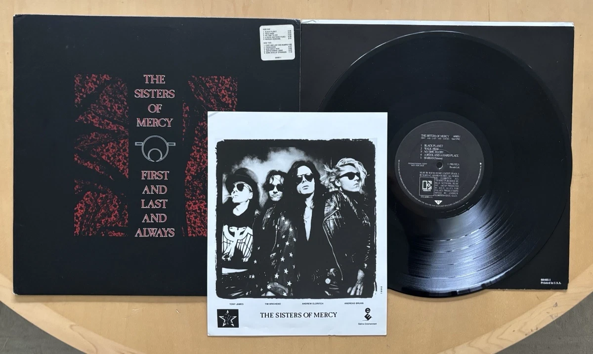 Las mejores ofertas en Rock The Sisters of Mercy Vinyl Records | eBay