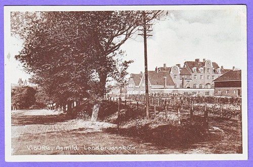 DENMARK AGRICULTURAL SCHOOL VIBORG POSTCARD - 第 1/1 張圖片