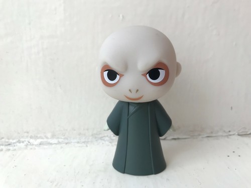 mini funko pop voldemort