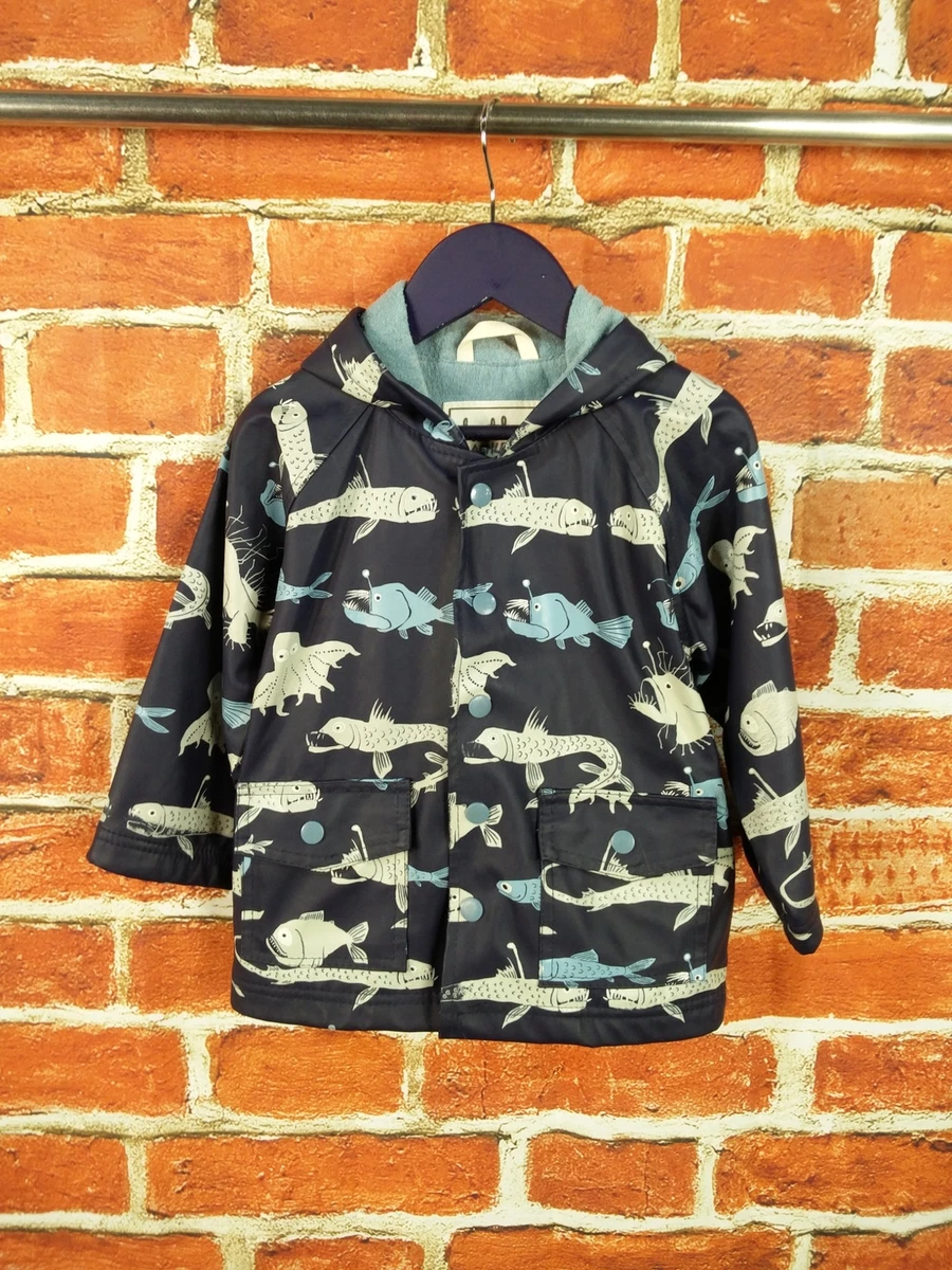 Hatley cheap boys coat