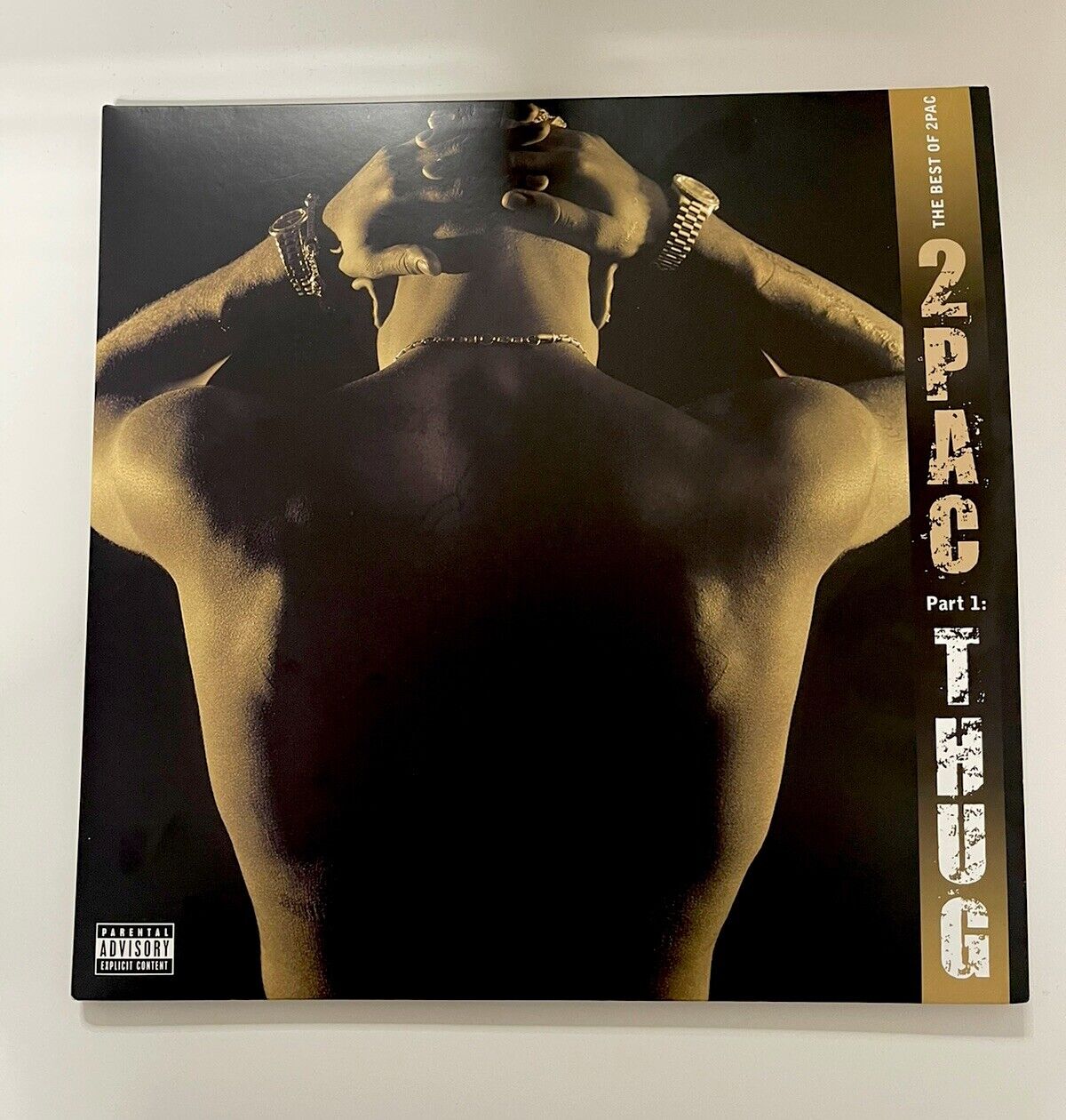 2Pac Record Album (The Best Of 2pac - Part 1: Thug)