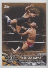 2017 Topps WWE NXT Matches and Moments Bronze American Alpha #27 0c4