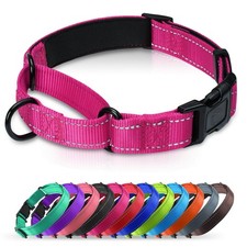 Padded Martingale Collar for Small Dogs, Quick Release Buckle Hot Pink