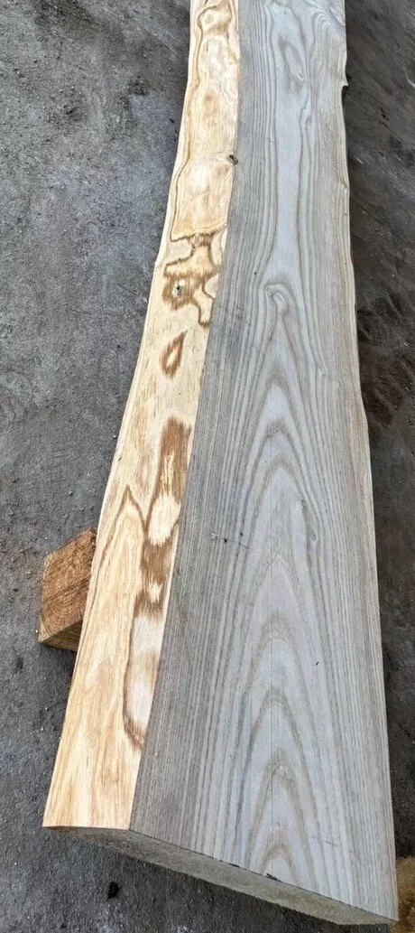 Foto 2 di 6